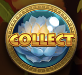 鳳凰公主 BT電子遊戲介紹