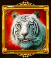 虎爪 QT電子遊戲介紹